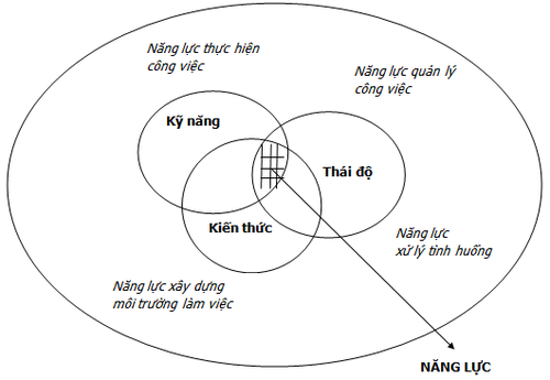 Điểm khác nhau giữa đào tạo trên thế giới và đào tạo của Việt Nam