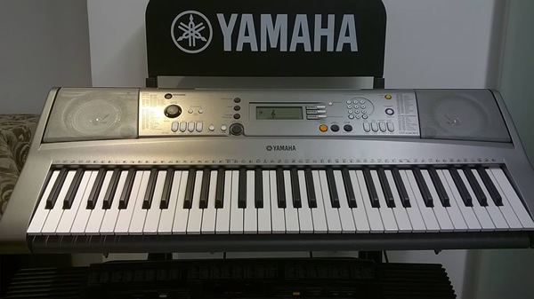 Organ Yamaha VN 300