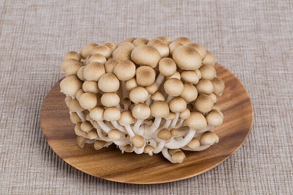 Các loại nấm ăn được giúp bạn nấu nhiều món ngon