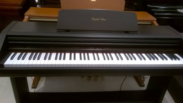 Đàn Piano điện Kawai Pw 800